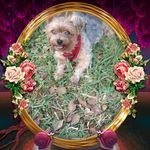 Pam Dyer - @pam.dyer.79 - Instagram