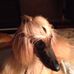 Pam Dyer - Facebook