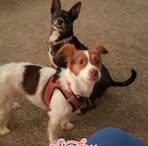 Pam Yeager - Facebook