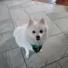 pam - @pammeakins - TikTok