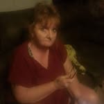 Pam Eckelbarger - @pameckelbarger - Instagram