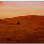 Pamella Eckel - @awildaritschel141 - Instagram