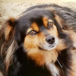 Pam Eddy - @pam.eddy.543 - Instagram