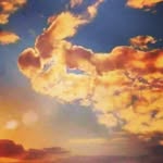 Pam Smith Eddy - @ladyfrogofbama - Instagram