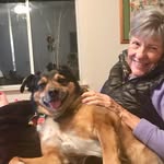 Pam Eliason - @eliasonpam - Instagram