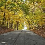 Pam Okrzesik Miller - @pameller_ - Instagram