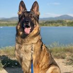 Pam Ramsey Elrod - @elrodpam - Instagram