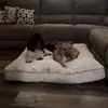 pamselrod - @pamselrod - TikTok