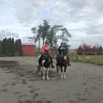 Pam Erickson - @pam_erickson_wa - Instagram