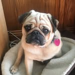 Pam Erickson - @pam.erickson101 - Instagram