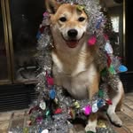 Pam Erickson Davis - @pam.e.davis.5 - Instagram