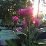 Pam Erickson Rosser - @pamericksonrosser - Instagram