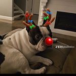 Pam Ervin-Avery - @pamervinavery - Instagram
