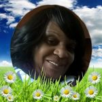 Pam Ervin-Davis - @nervipam - Instagram