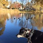 Pam Farris - @farris280 - Instagram