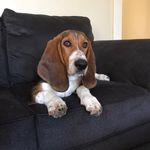 Pam Farris - @thebestcookinwnc - Instagram