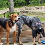 Pam Feldmann - Facebook