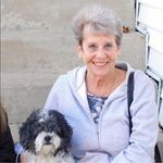 Pamela Gould Feldman - @pammiebethfeldman - Instagram