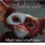 pam ferrell - @pame.lalean_ferrell - Instagram