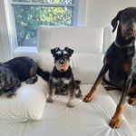 Pam Field - @pam.field - Instagram