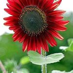 Pam Fields - @pam.fields.984991 - Instagram