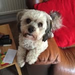 Pamela Findlay - @pammiejo805 - Instagram
