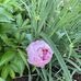 Pam Vansell - Facebook