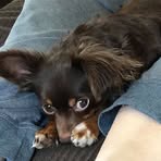 Pam Flack - Facebook