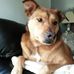 Pam Flaherty - Facebook