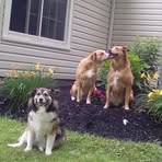Pam Flaherty - Facebook