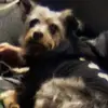 Pam Flaherty - @pam.flaherty - TikTok