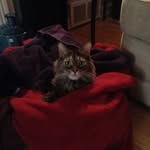Pam Flaherty - @flaherty6424 - Instagram