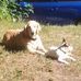 Pam Fleck - Facebook