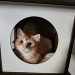 Pam Fleck - @pam.fleck.54 - Instagram
