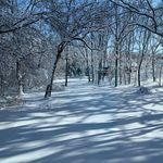 Pam Fleckenstein - @pamfleckenstein - Instagram