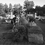 My3boys - @pamfleming208 - Instagram