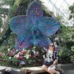 Pam Fleming - @pamefleming61 - Instagram