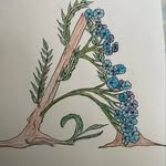 Pam Dhillon - @pam_florals - Instagram