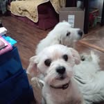 Pam Floyd - @pamfloyd57 - Instagram