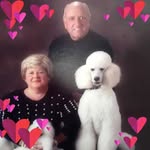Pam Floyd - @pam.floyd.106 - Instagram