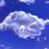 pamelafloyd465 - @pamelafloyd465 - TikTok