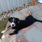 Pam Ford - Facebook