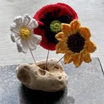 Pam Fiore - Facebook