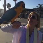 Pam Forrest - @queenpamelot - Instagram