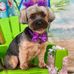 Pam Fraley - Facebook