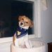 Pamela Fraley - Facebook