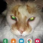 Pam Frame - @frame8280 - Instagram