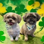 Pam Frederick - @pamzhome45714 - Instagram