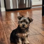 Pam Gillette - Facebook