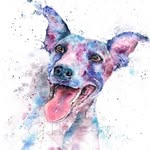 Pam Glass - @pamglass709 - Instagram